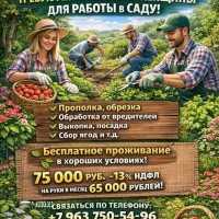 Screenshot_2026-02-27-13-21-52-082_com.whatsapp.w4b-edit Требуются мужчины и женщины для работы в саду