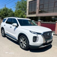 Hyundai Palisade, 2020