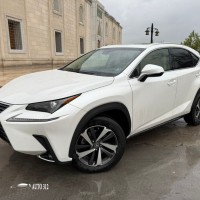 Lexus NX, 2019